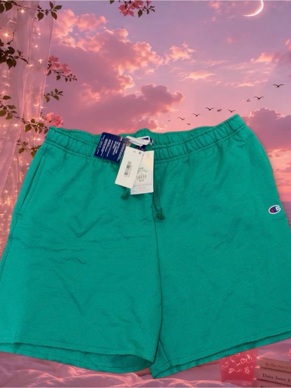Champion Men’s Teal Athletic Drawstring Shorts with Logo